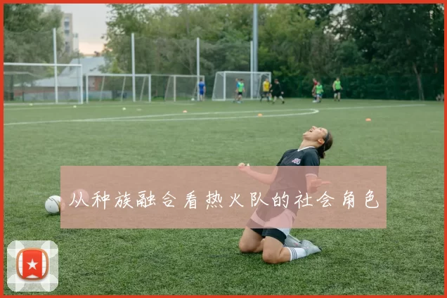 从种族融合看热火队的社会角色