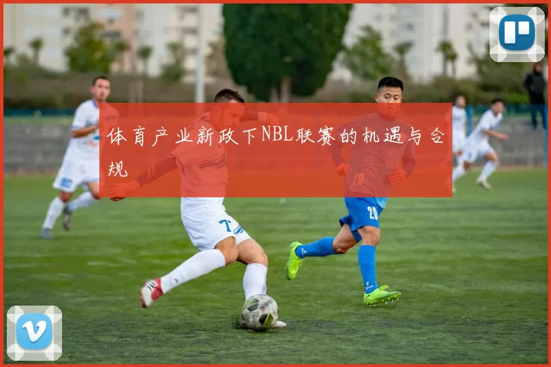 体育产业新政下NBL联赛的机遇与合规