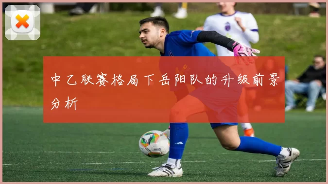 中乙联赛格局下岳阳队的升级前景分析
