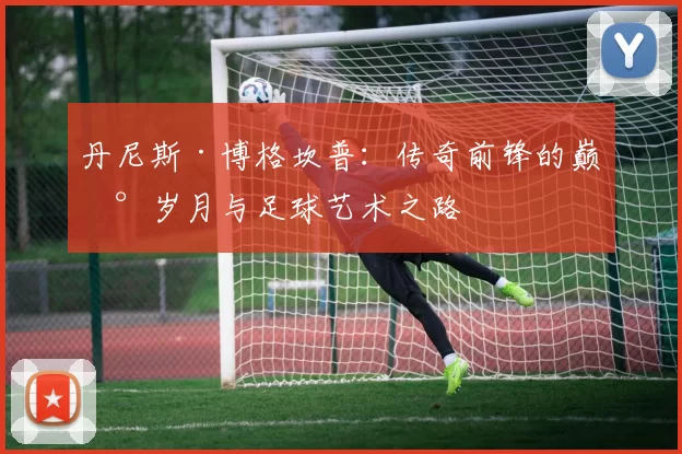 丹尼斯·博格坎普：传奇前锋的巅峰岁月与足球艺术之路