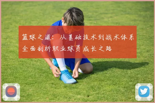 篮球之道：从基础技术到战术体系全面剖析职业球员成长之路