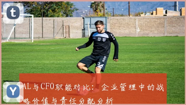 AL与CFO职能对比：企业管理中的战略价值与责任分配分析